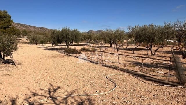 4 camera da letto Finca/Casa di Campagna in vendita in Monóvar / Monóver con piscina - 286.355 € (Rif: 9415510)