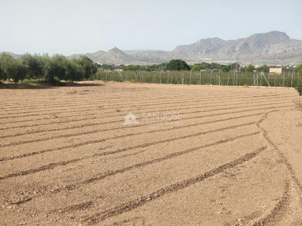 Finca/Maison de Campagne à vendre à Aspe - 176 000 € (Ref: 9436797)