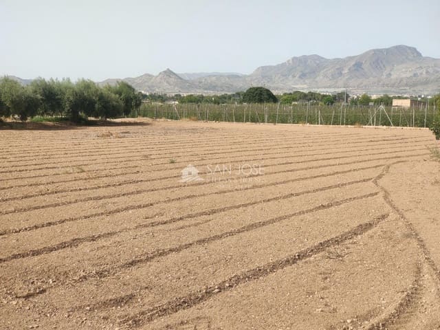 Finca/Maison de Campagne à vendre à Aspe - 176 000 € (Ref: 9436797)