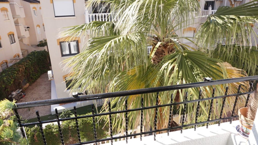 Appartement de 1 chambre à louer à Punta Prima avec piscine - 550 € (Ref: 9627250)