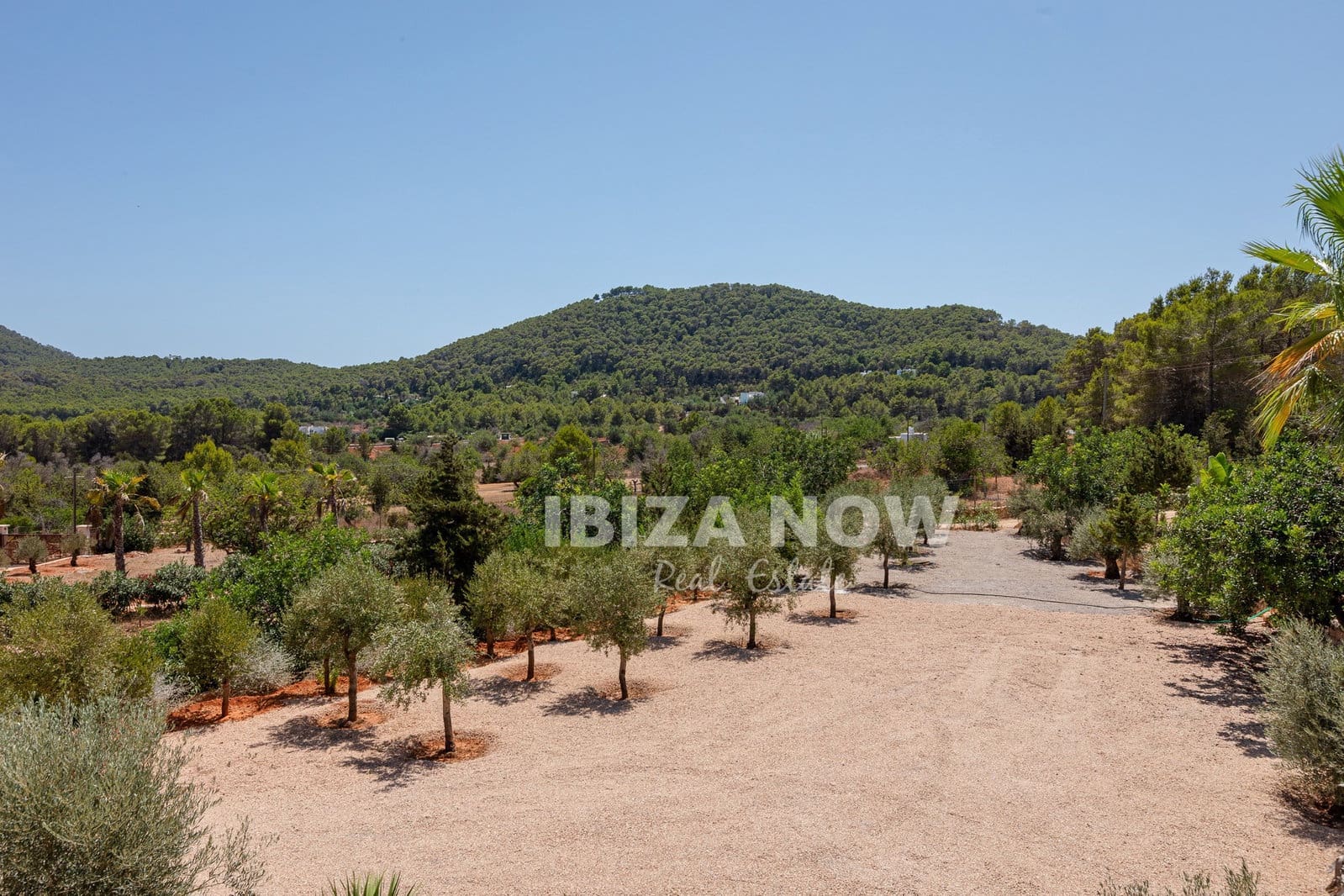 5 bedroom Villa for sale in Santa Eulalia / Santa Eularia with pool - € 8,750,000 (Ref: 10033121)