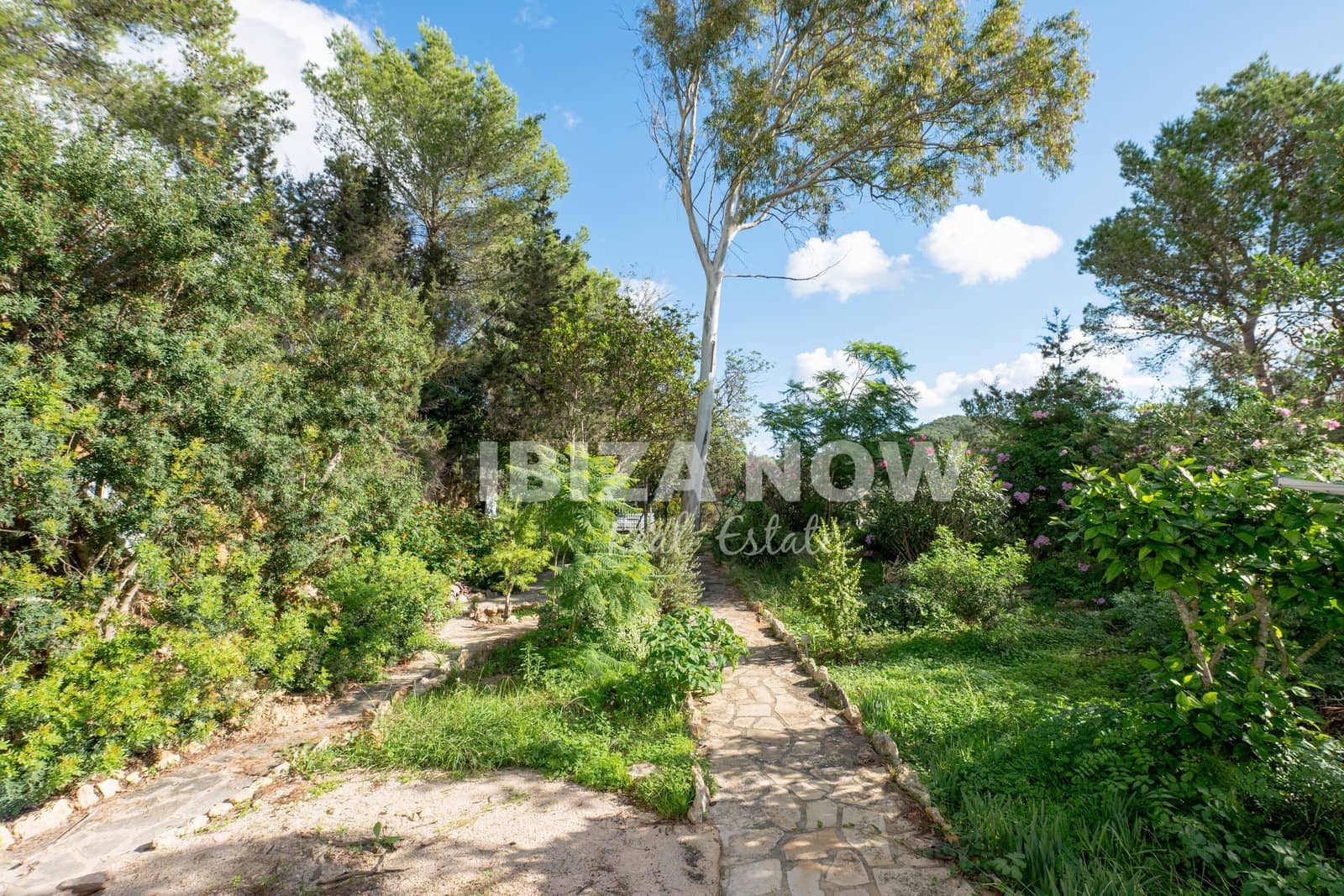 5 bedroom Finca/Country House for sale in Sant Carles de Peralta with garage - € 1,950,000 (Ref: 10167883)