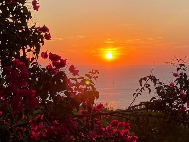 6 soveværelse Villa til salg i Cala Salada med swimmingpool - € 2.850.000 (Ref: 8047285)