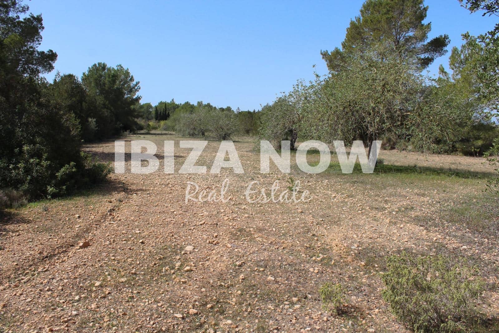 Grond te koop in San Jose / Sant Josep de Sa Talaia - € 2.000.000 (Ref: 8302033)