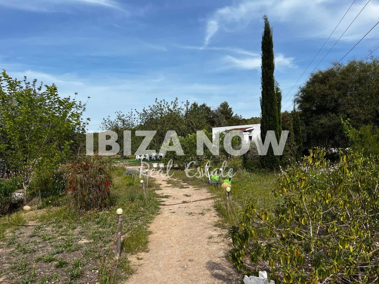 Grond te koop in San Jose / Sant Josep de Sa Talaia - € 2.000.000 (Ref: 8302033)