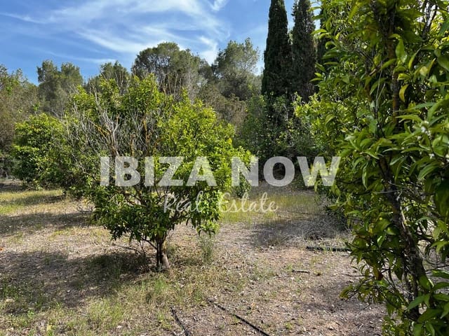 Undeveloped Land for sale in San Jose / Sant Josep de Sa Talaia - € 2,000,000 (Ref: 8302033)