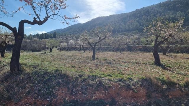 Mark till salu i Bullas - 140 000 € (Ref: 10011476)
