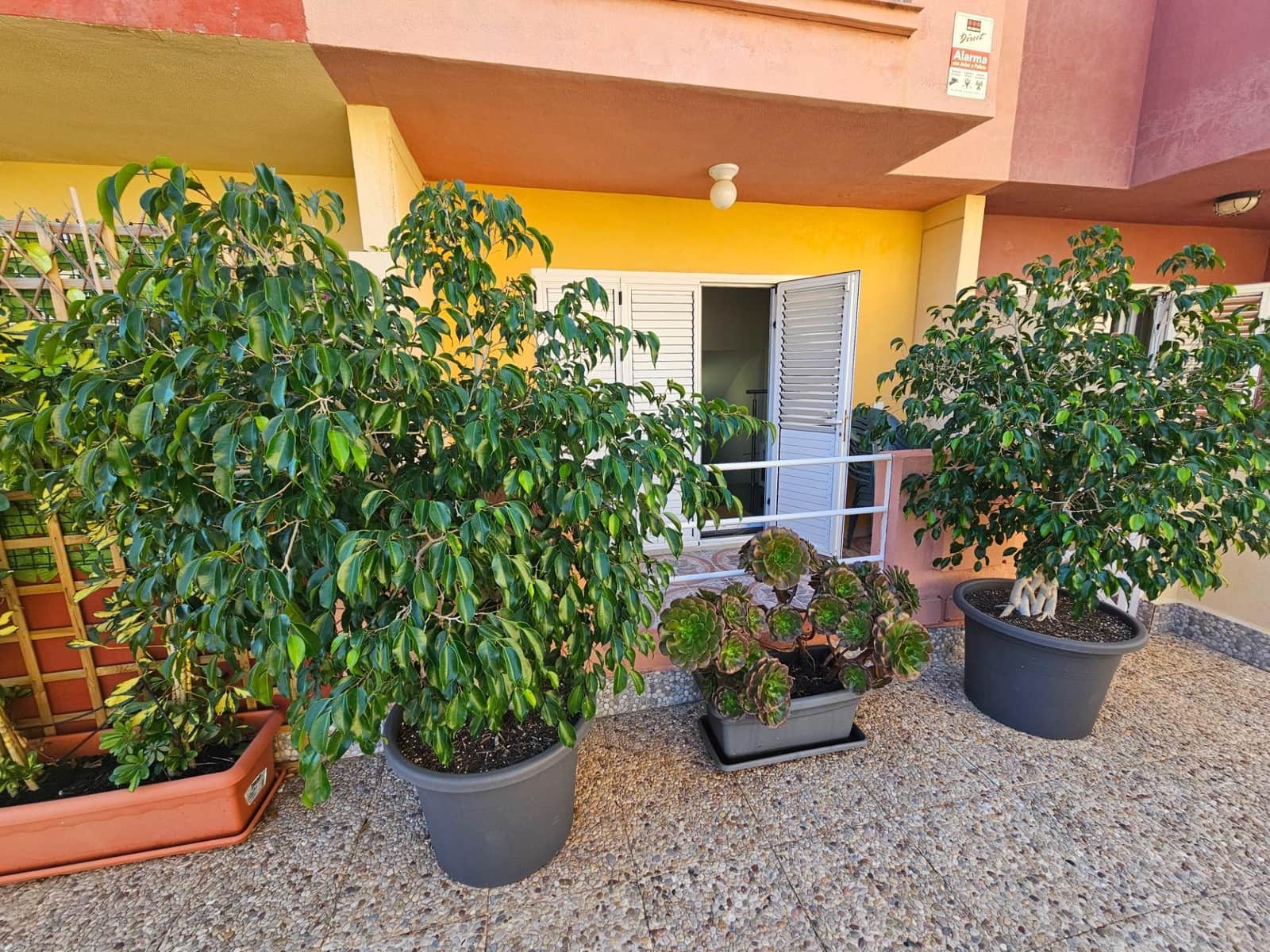 Apartamento de 3 habitaciones en Santiago de la Ribera en venta con piscina garaje - 224.000 € (Ref: 10157921)
