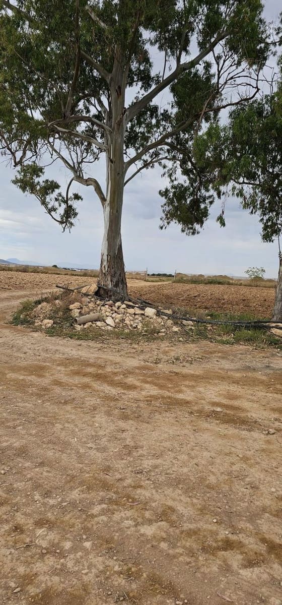 Undeveloped Land for sale in Sucina - € 880,000 (Ref: 9738507)