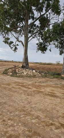 Grunde uden byggetilladelser til salg i Sucina, Murcia by - € 880.000 (Ref: 9738507)