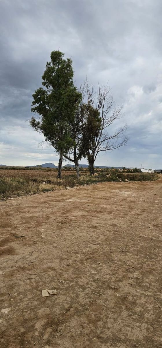Undeveloped Land for sale in Sucina - € 880,000 (Ref: 9738507)