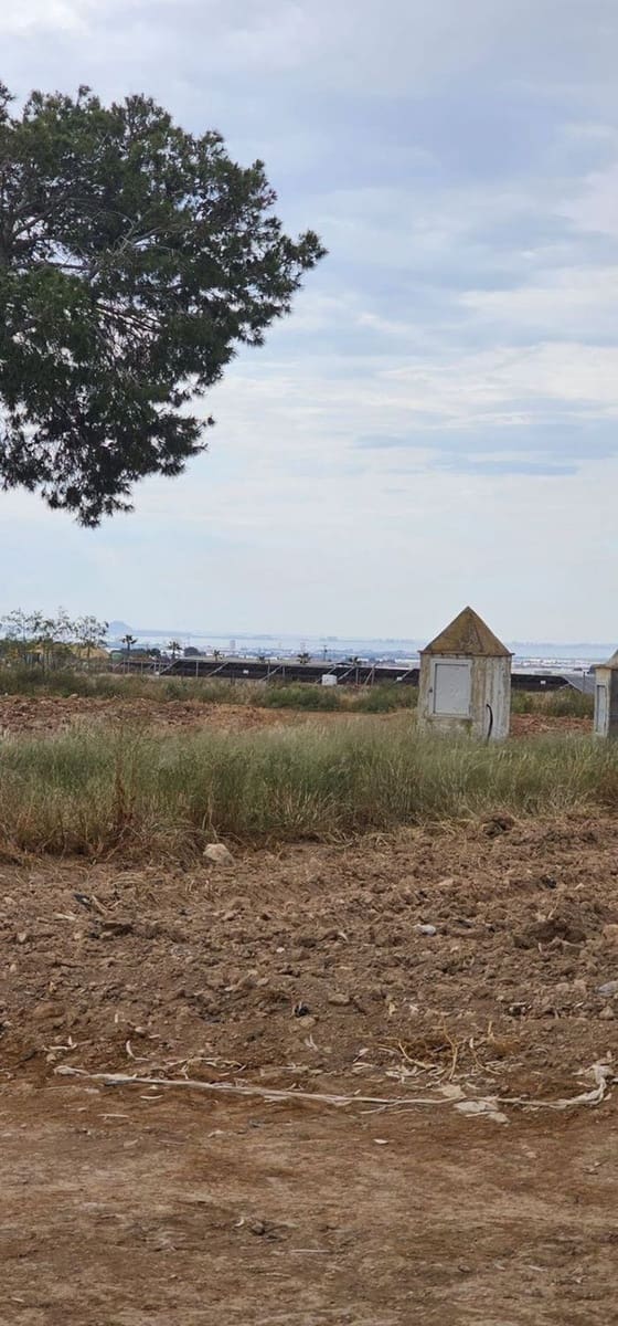 Undeveloped Land for sale in Sucina - € 880,000 (Ref: 9738507)