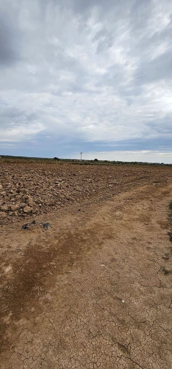 Undeveloped Land for sale in Sucina - € 880,000 (Ref: 9738507)