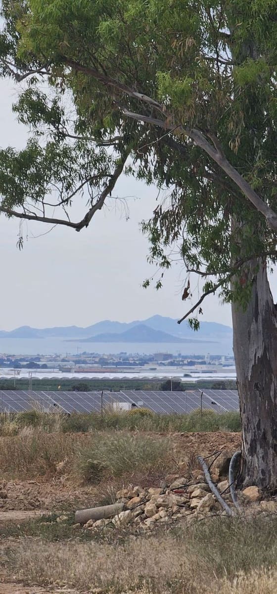 Undeveloped Land for sale in Sucina - € 880,000 (Ref: 9738507)