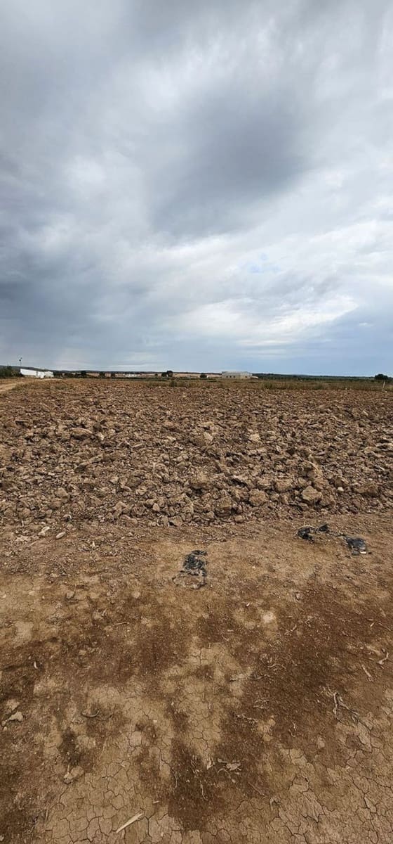 Undeveloped Land for sale in Sucina - € 880,000 (Ref: 9738507)