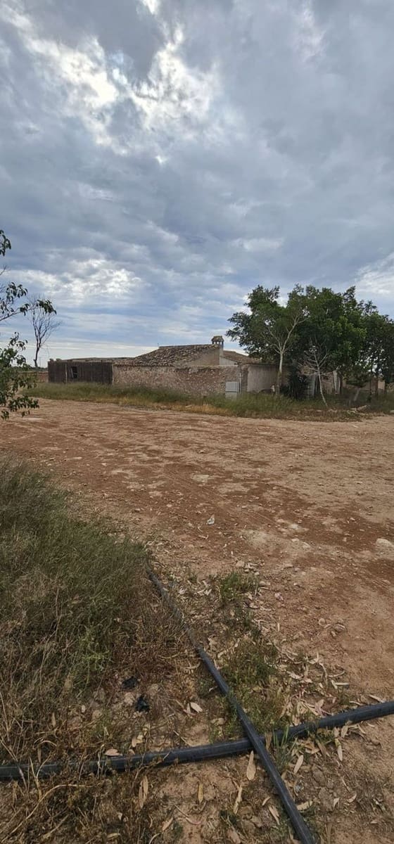 Undeveloped Land for sale in Sucina - € 880,000 (Ref: 9738507)