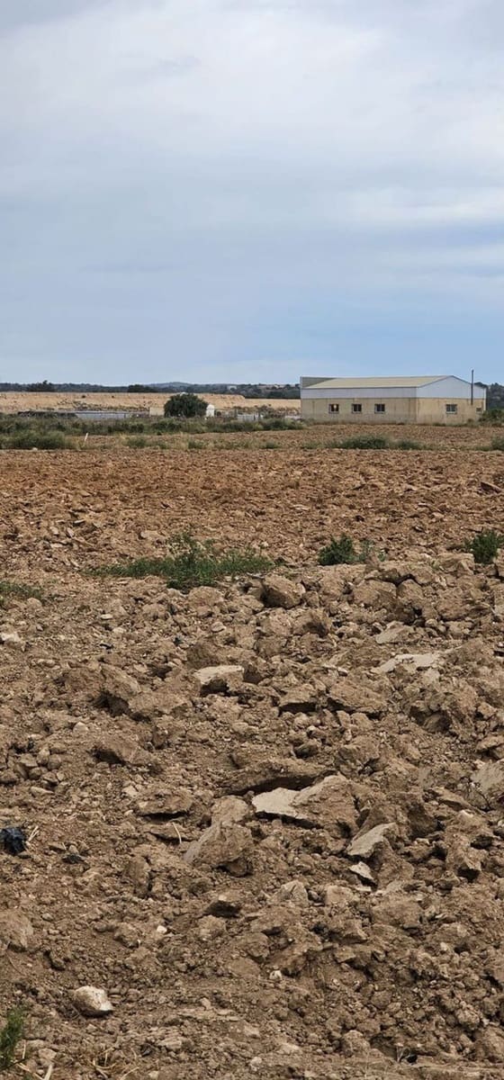 Undeveloped Land for sale in Sucina - € 880,000 (Ref: 9738507)