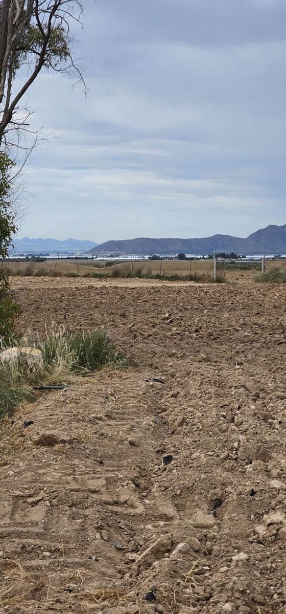 Undeveloped Land for sale in Sucina - € 880,000 (Ref: 9738507)