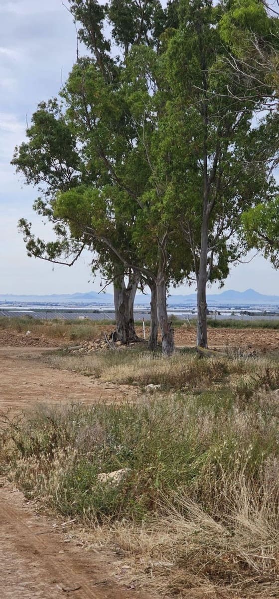 Undeveloped Land for sale in Sucina - € 880,000 (Ref: 9738507)