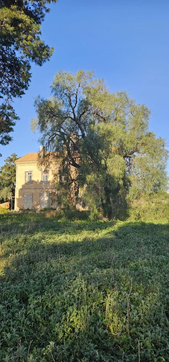 6 makuuhuone Maalaistalo myytävänä paikassa Santa Ana - 495 000 € (Ref: 9751964)