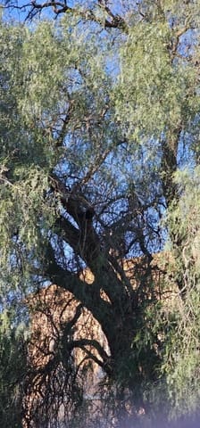 6 makuuhuone Maalaistalo myytävänä paikassa Santa Ana, Cartagena - 495 000 € (Ref: 9751964)