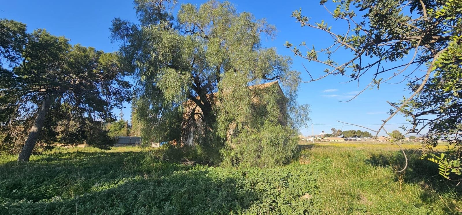 6 makuuhuone Maalaistalo myytävänä paikassa Santa Ana - 495 000 € (Ref: 9751964)