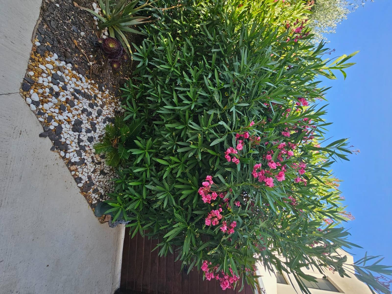 3 camera da letto Bungalow in vendita in Corvera con piscina - 212.000 € (Rif: 9911009)