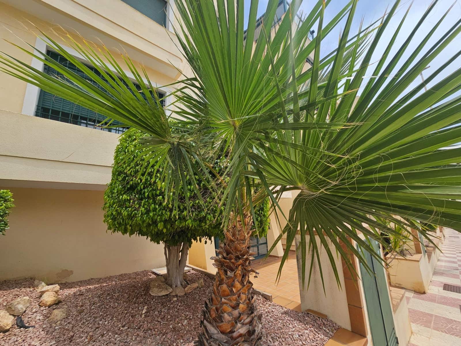 2 sypialnia Apartament na sprzedaż w Orihuela Costa z basenem - 220 000 € (Ref: 9916936)