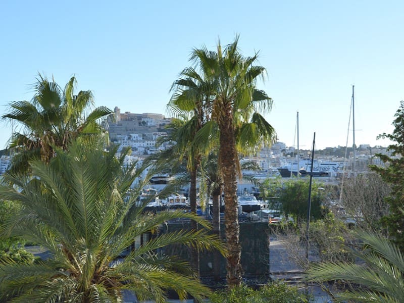 1 bedroom Apartment for rent in Ibiza / Eivissa town - € 1,750 (Ref: 5255027)