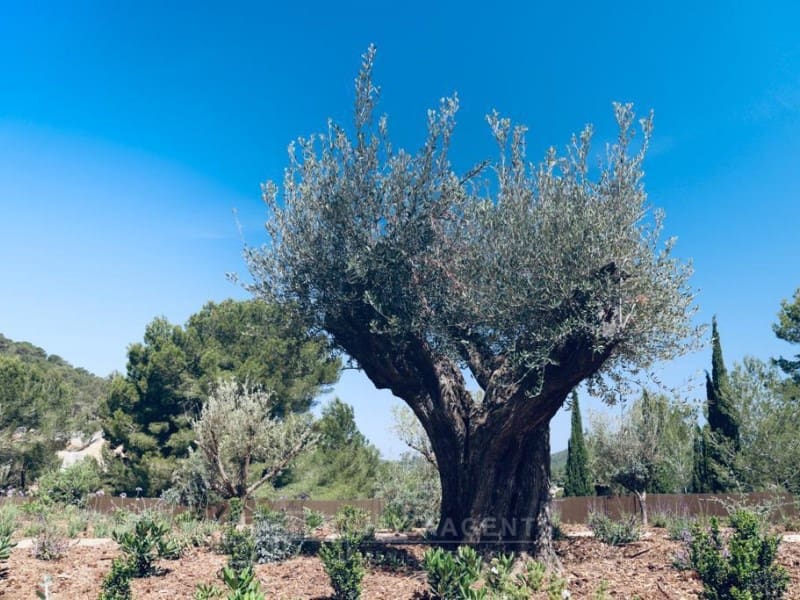 5 Zimmer Villa zu verkaufen in Nuestra Senora de Jesus mit Pool Garage - 2.950.000 € (Ref: 7527564)