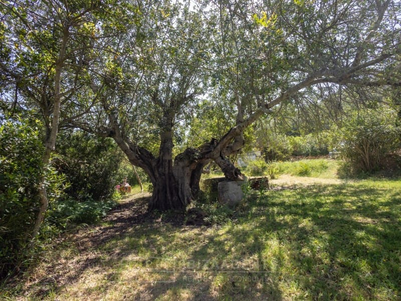 4 soveværelse Finca/Landehus til salg i Sant Carles de Peralta - € 2.950.000 (Ref: 9824915)