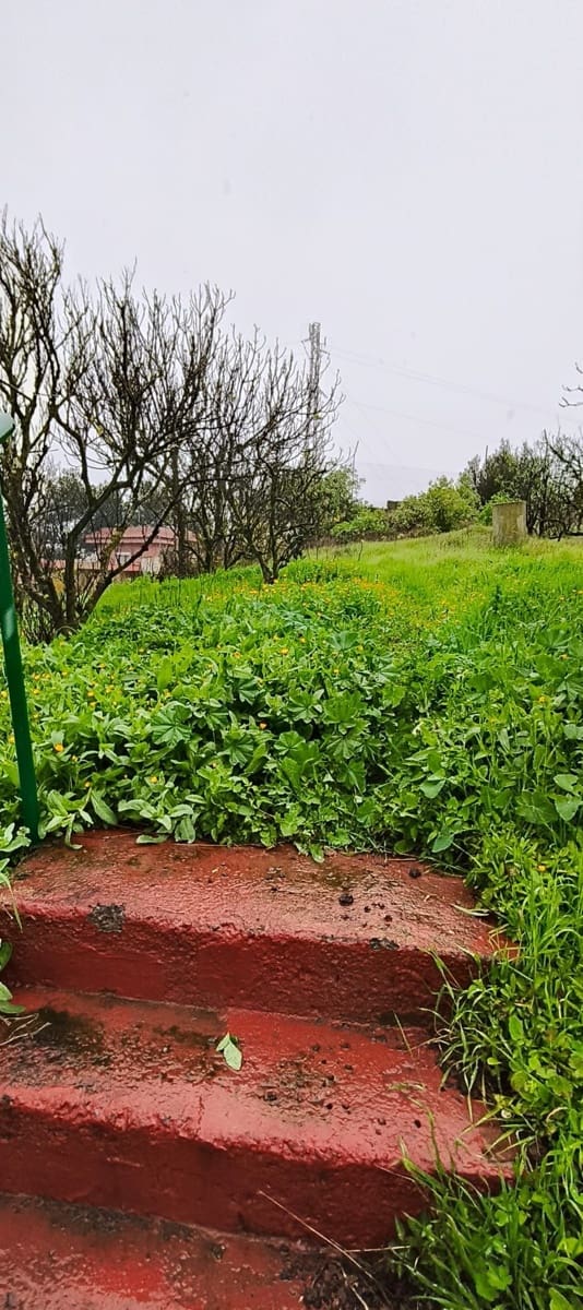 5 sypialnia Finka/Dom wiejski na sprzedaż w Las Palmas de Gran Canaria z garażem - 340 000 € (Ref: 9777705)