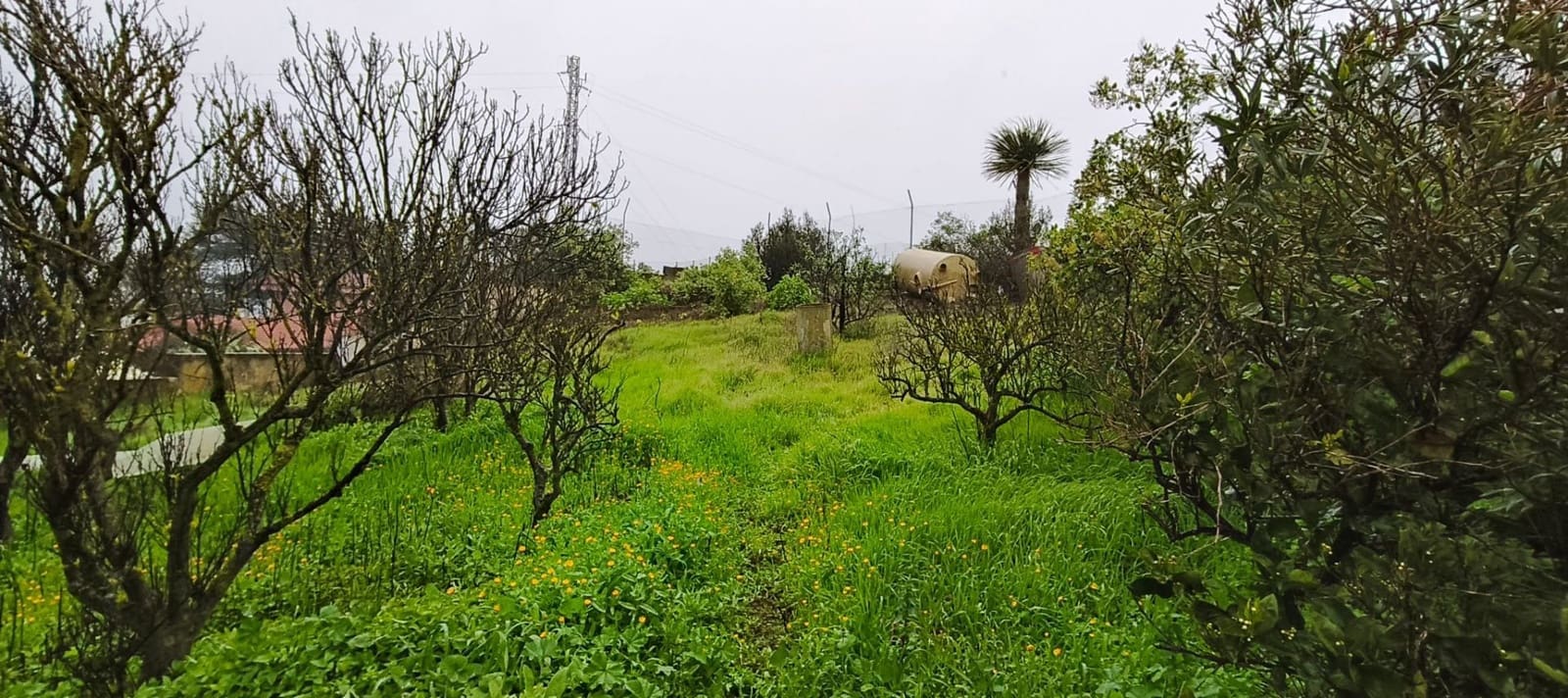 5 sypialnia Finka/Dom wiejski na sprzedaż w Las Palmas de Gran Canaria z garażem - 340 000 € (Ref: 9777705)