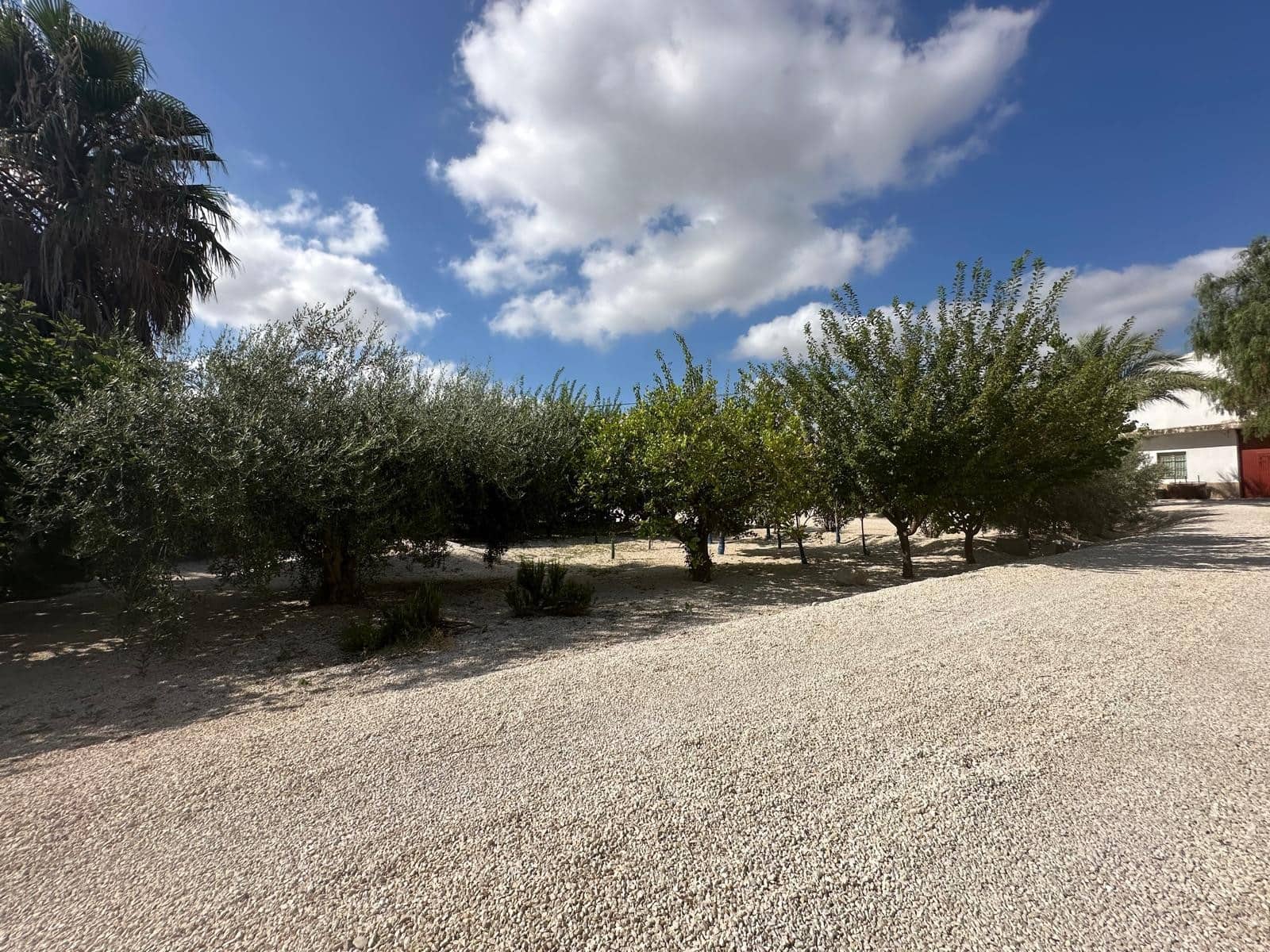 3 camera da letto Finca/Casa di Campagna in vendita in Crevillente / Crevillent con garage - 485.000 € (Rif: 10033261)