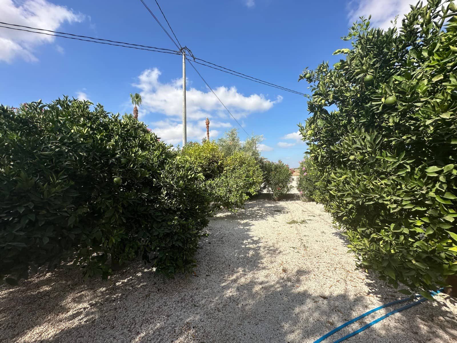 3 camera da letto Finca/Casa di Campagna in vendita in Crevillente / Crevillent con garage - 485.000 € (Rif: 10033261)