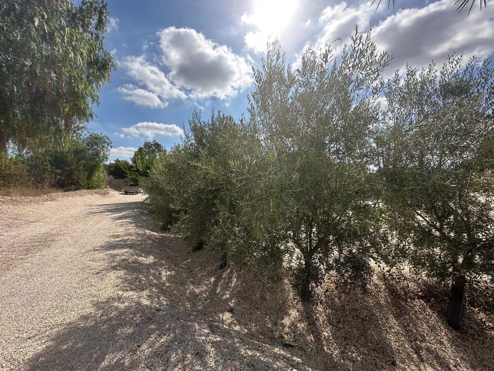 3 camera da letto Finca/Casa di Campagna in vendita in Crevillente / Crevillent con garage - 485.000 € (Rif: 10033261)
