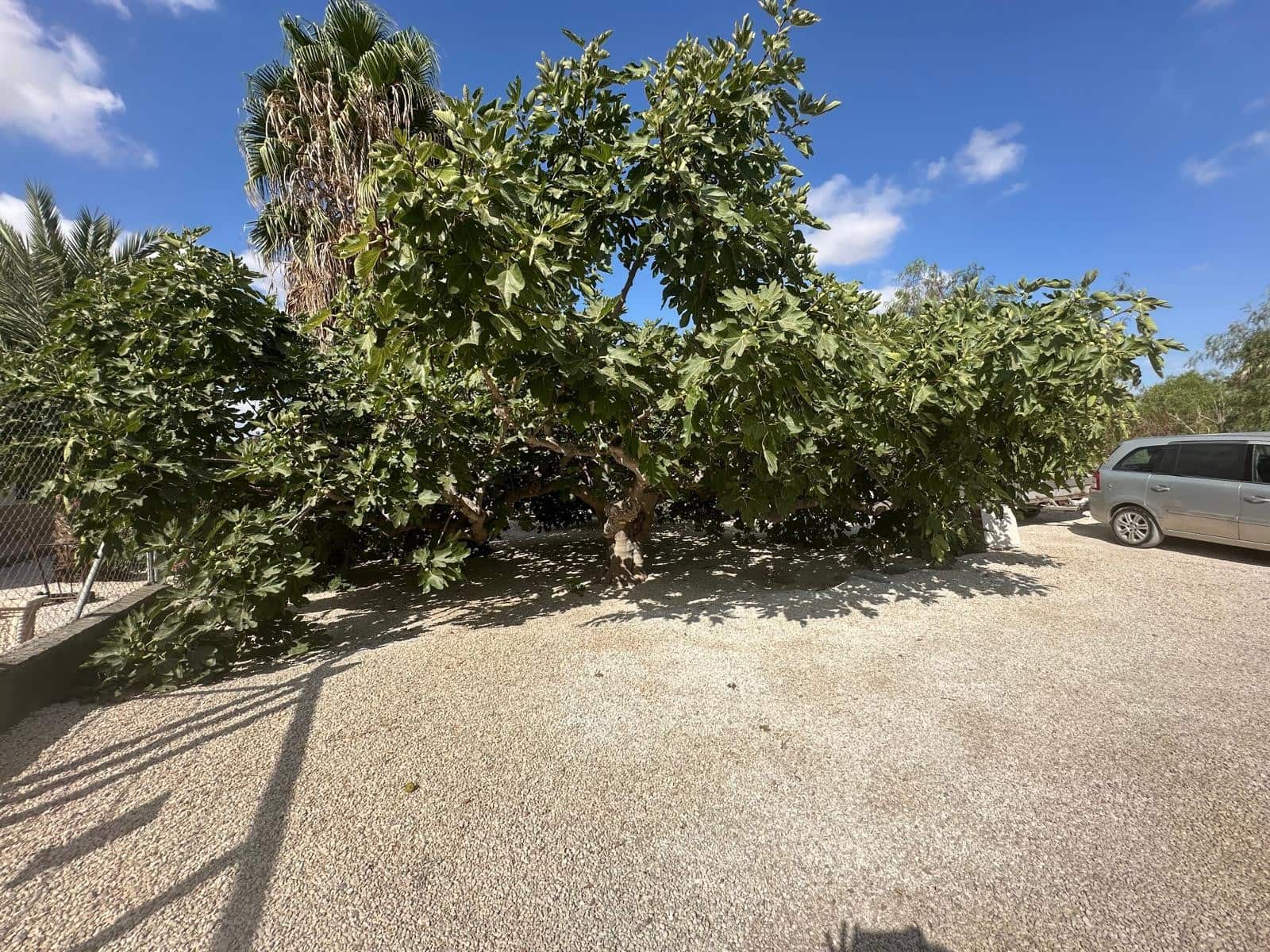 3 camera da letto Finca/Casa di Campagna in vendita in Crevillente / Crevillent con garage - 485.000 € (Rif: 10033261)