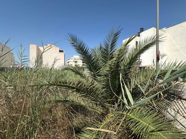 Solar/Parcela en Formentera del Segura en venta - 450.000 € (Ref: 10057365)