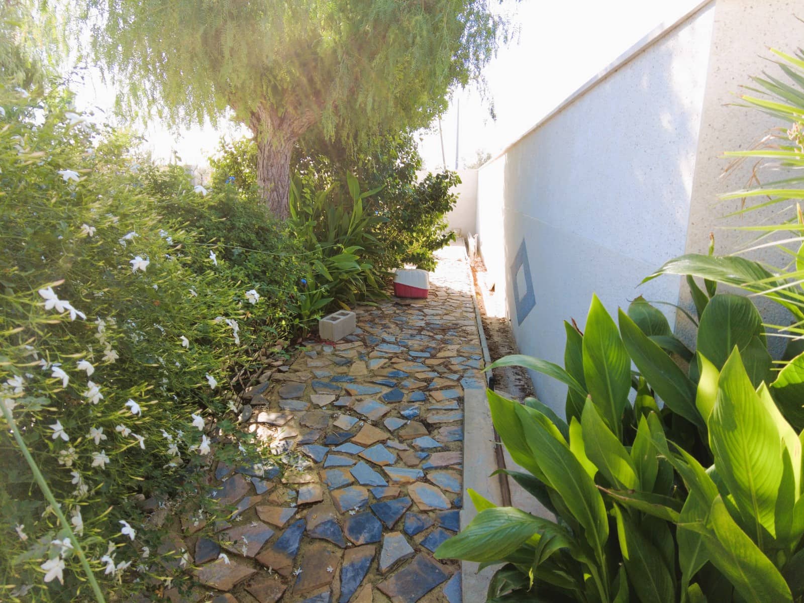 4 soveværelse Finca/Landehus til salg i Elche / Elx med swimmingpool - € 395.000 (Ref: 3595412)