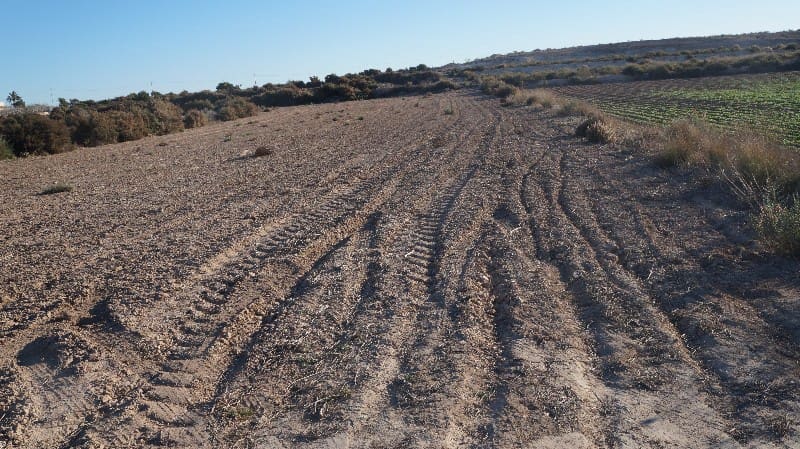 Tomt till salu i Valverde - 399 000 € (Ref: 3696368)