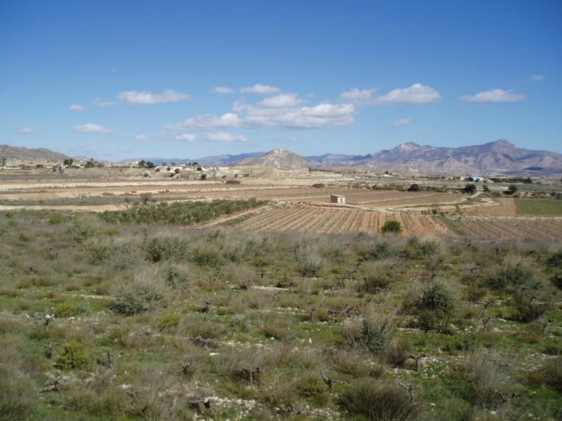 Bouwgrond te koop in La Romana - € 50.000 (Ref: 4918850)