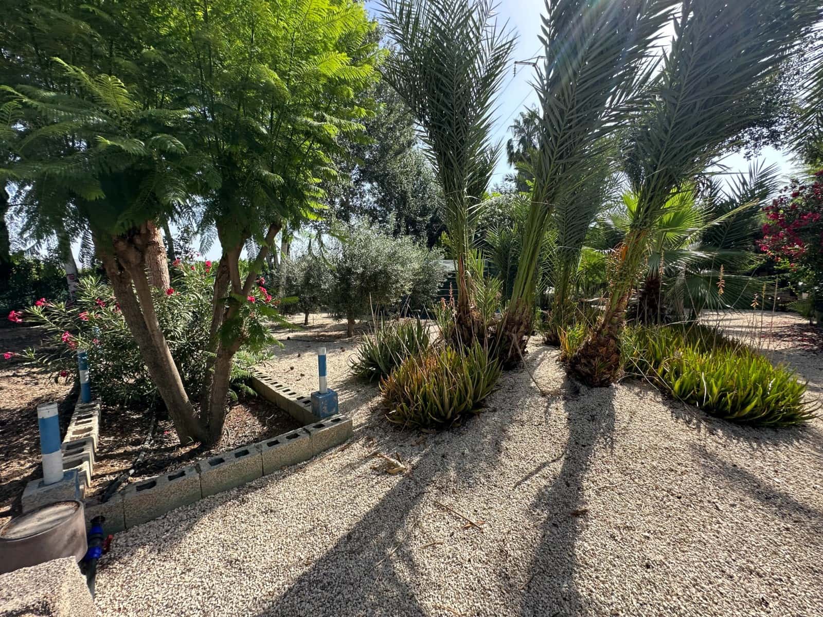 3 soveværelse Finca/Landehus til salg i Crevillente / Crevillent med swimmingpool garage - € 310.000 (Ref: 4918852)