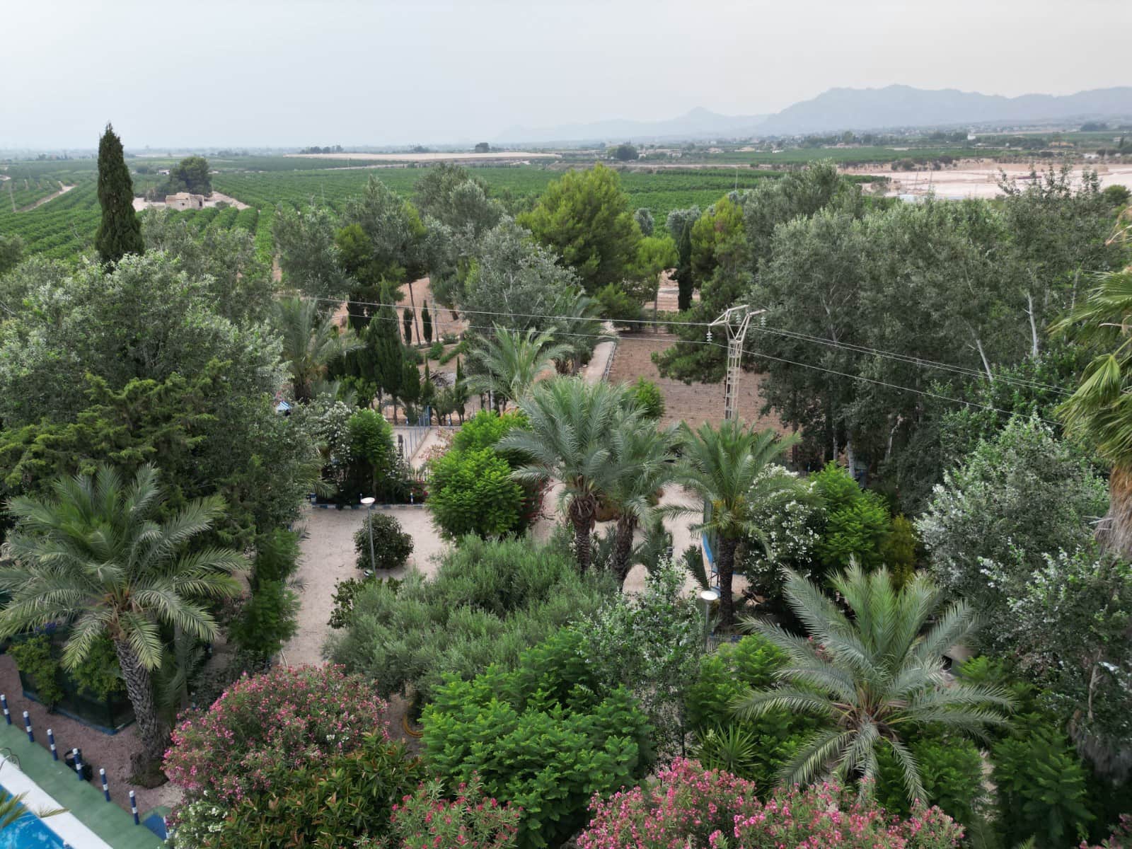 3 soveværelse Finca/Landehus til salg i Crevillente / Crevillent med swimmingpool garage - € 310.000 (Ref: 4918852)