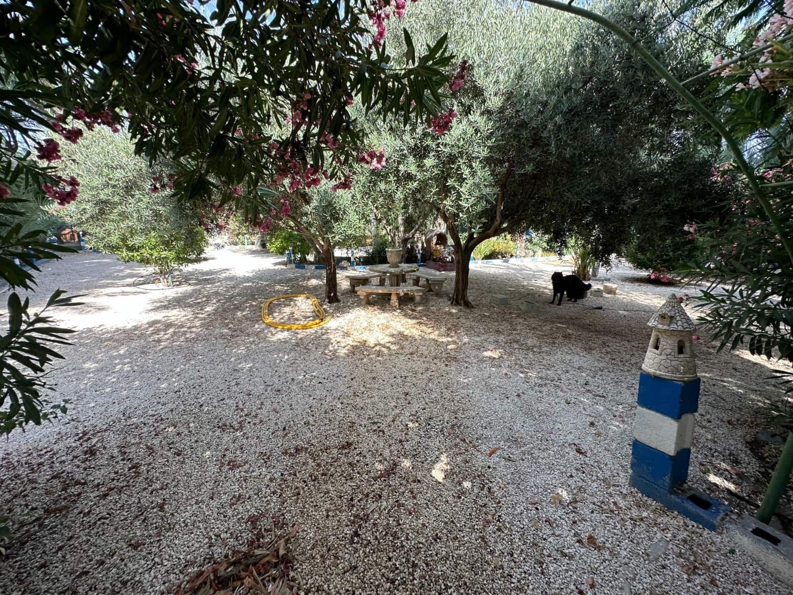 3 soveværelse Finca/Landehus til salg i Crevillente / Crevillent med swimmingpool garage - € 310.000 (Ref: 4918852)