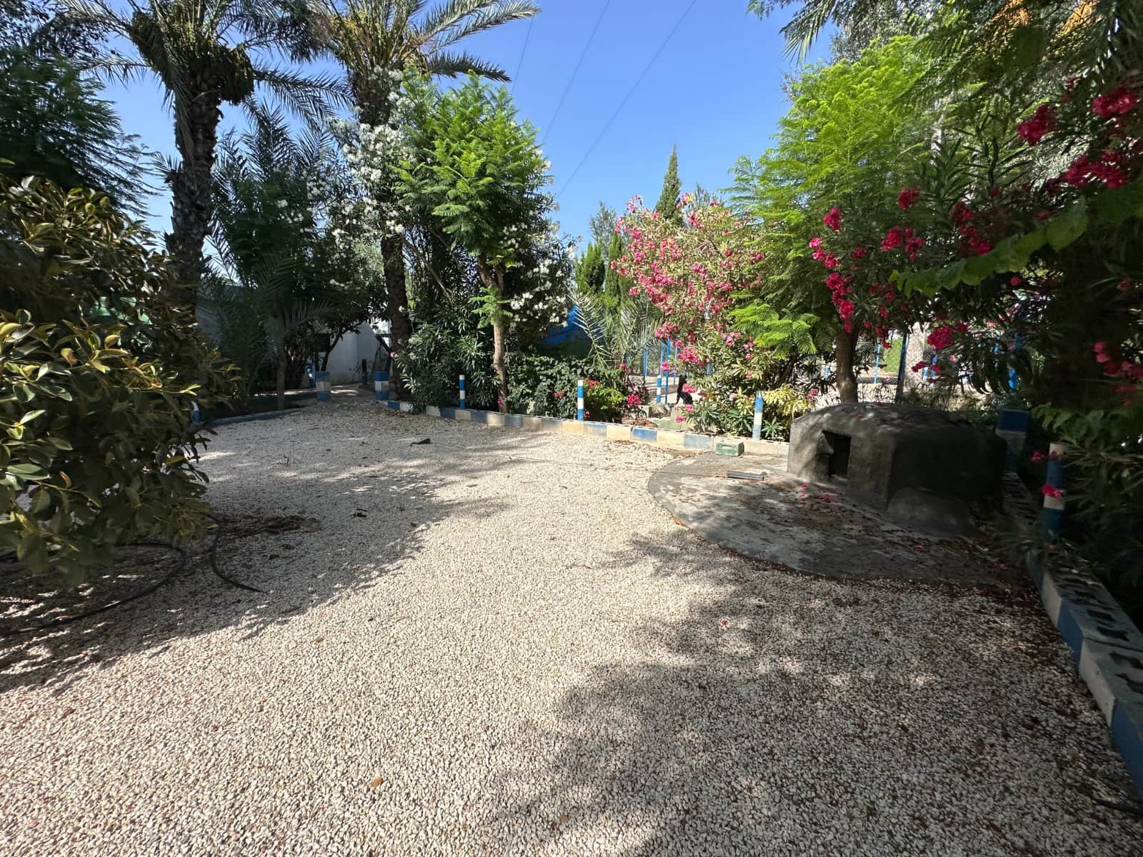 3 soveværelse Finca/Landehus til salg i Crevillente / Crevillent med swimmingpool garage - € 310.000 (Ref: 4918852)