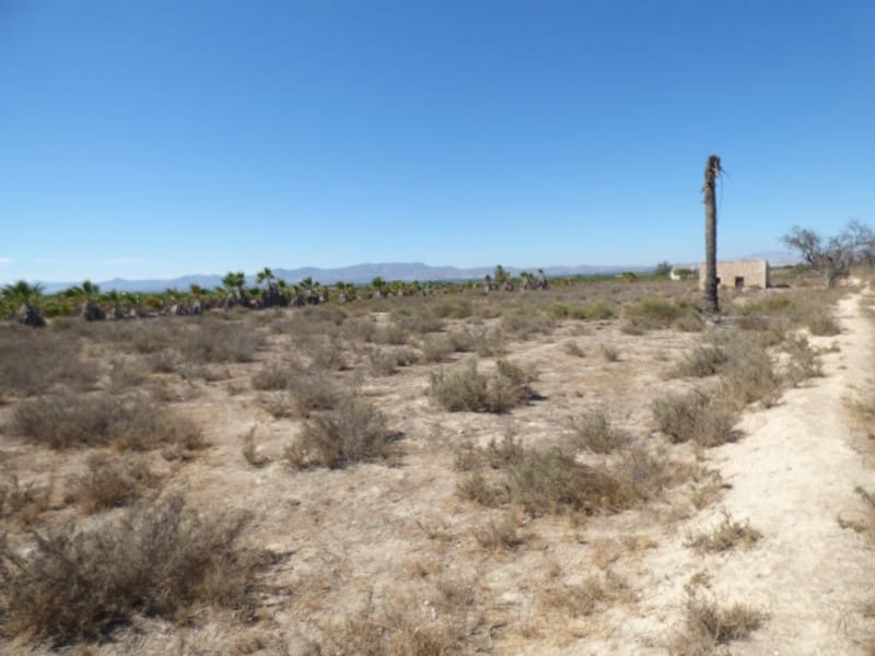 Byggegrund til salg i La Marina - € 130.000 (Ref: 4918930)