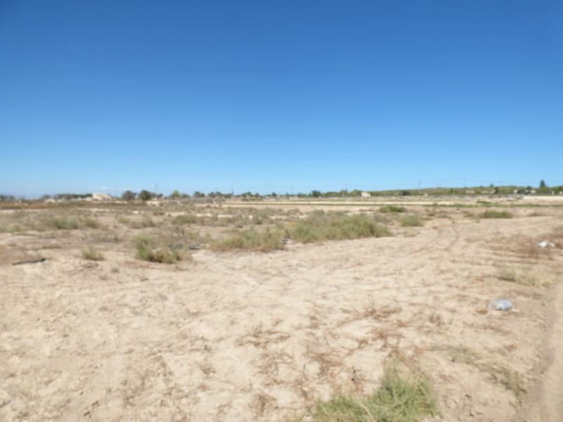 Byggegrund til salg i La Marina - € 130.000 (Ref: 4918930)