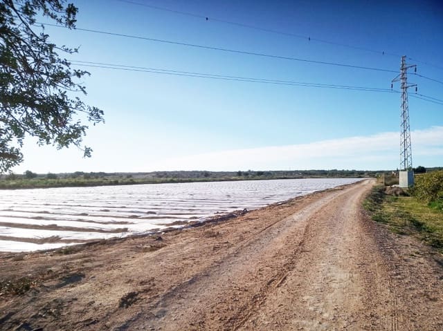 Byggegrund til salg i La Marina, Elche / Elx - € 89.000 (Ref: 4919264)