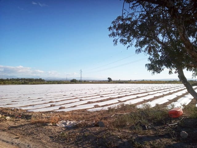 Byggegrund til salg i La Marina, Elche / Elx - € 89.000 (Ref: 4919264)