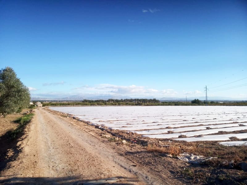 Byggetomt til salgs i La Marina - € 89 000 (Ref: 4919264)